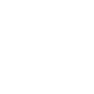 Violet Provider Logo