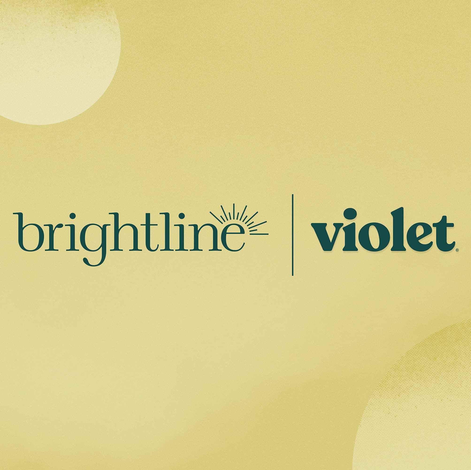 brightline x violet thumbnail