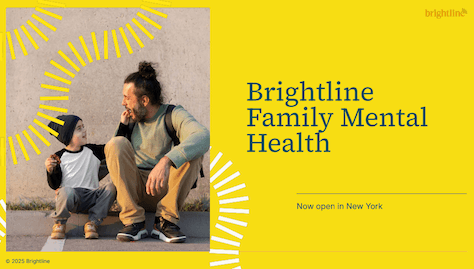 Brightline presentation cover